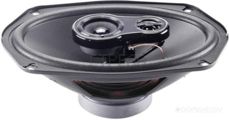 Коаксиальная АС Nakamichi NSE6918R