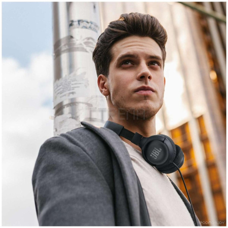 Наушники JBL Tune 500 (черный)