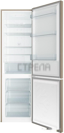 Холодильник Candy CCRN 6200G