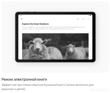 Планшет Huawei MatePad SE 10.4" AGS5-W09 4GB/64GB (графитовый черный)
