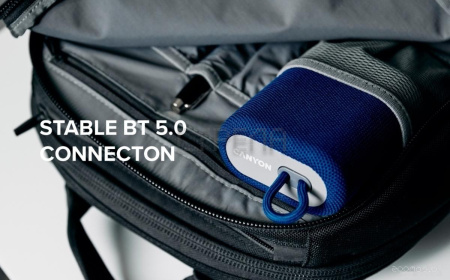 Беспроводная колонка Canyon CNE-CBTSP4BL