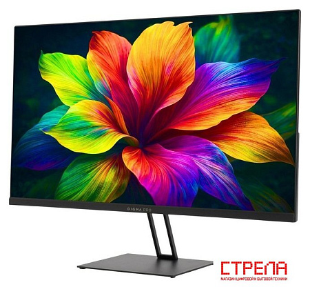 Монитор Digma Pro Motion L TM27SB02