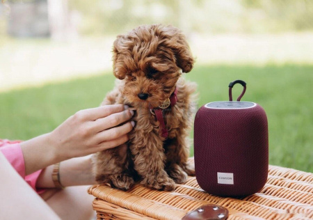 Беспроводная колонка Canyon BSP-8 (серый)