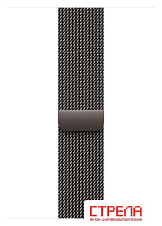 Умные часы Apple Watch Series 11 LTE 46 мм (титановый корпус, природный/сланец, миланская петля)