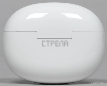 Наушники Realme T100 RMA2109