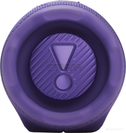 Беспроводная колонка JBL Charge 6 (фиолетовый)