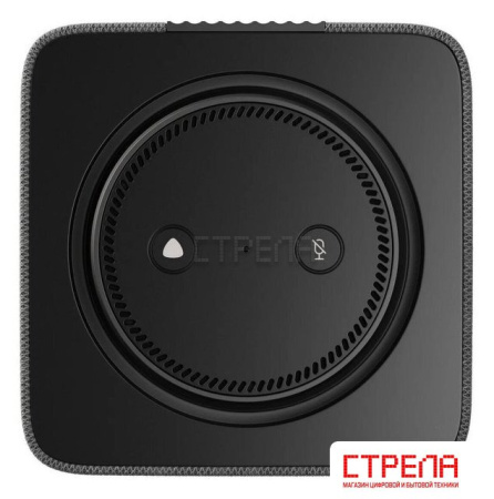 Умная колонка Яндекс Станция Макс (с хабом умного дома Zigbee, графит)