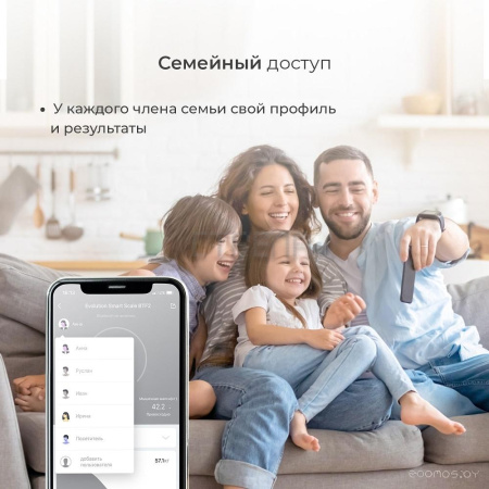 Напольные весы Evolution BTF2 (черный)