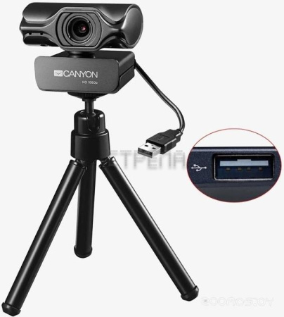Веб-камера Canyon CNS-CWC6N