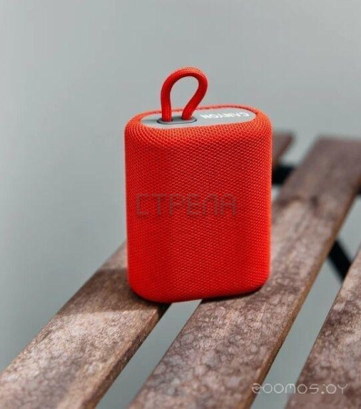 Беспроводная колонка Canyon CNE-CBTSP4BL