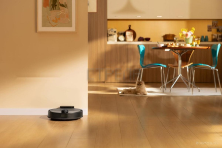 Робот-пылесос Roborock Q8 Max Pro RRA1TAL Q8MRP52-02 (с русской озвучкой, черный)