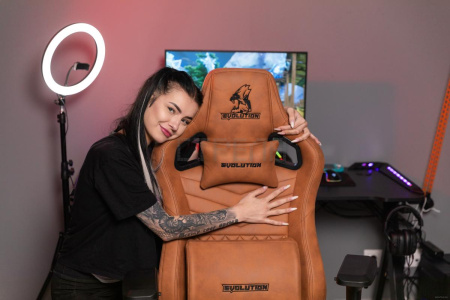 Кресло Evolution Nomad (коричневый)