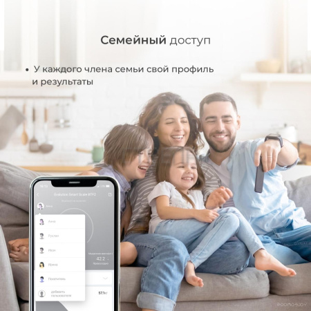 Напольные весы Evolution BTF3 (черный)