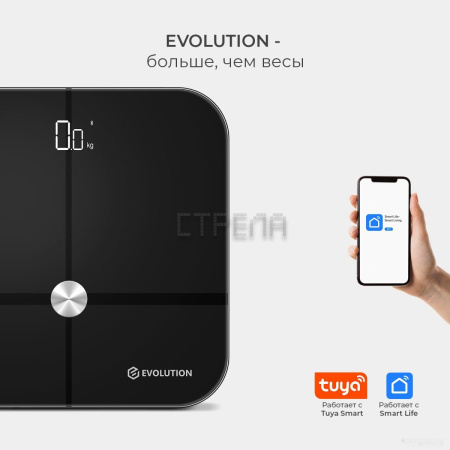 Напольные весы Evolution BTF3 (черный)