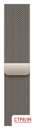 Умные часы Apple Watch Series 10 LTE 46 мм (титановый корпус, титановый/титановый, миланская петля)