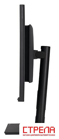 Монитор ASUS ProArt PA328QV