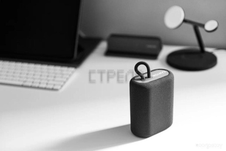 Беспроводная колонка Canyon CNE-CBTSP4BL