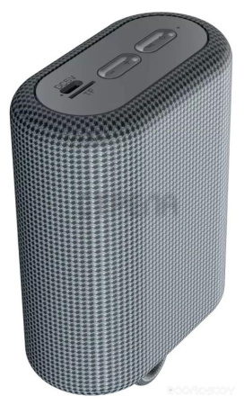 Беспроводная колонка Canyon CNE-CBTSP4DG