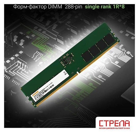 Оперативная память Digma 16ГБ DDR5 4800 МГц DGMAD54800016S