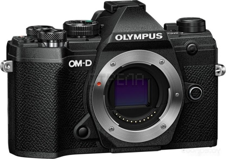 Беззеркальный фотоаппарат Olympus OM-D E-M5 Mark III Body (черный)