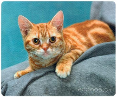 Коврик для мыши Defender Silk (50706)