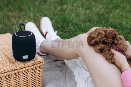 Беспроводная колонка Canyon BSP-8 (серый)