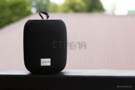 Беспроводная колонка Canyon BSP-8 (серый)