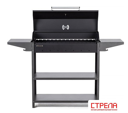 Мангал для дачи Gratar Professional Standart BBQ PSB 3000