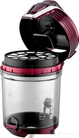 Пылесос Brayer BR4211