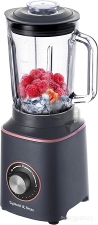 Стационарный блендер Zigmund & Shtain BS-442D