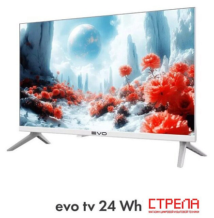 Телевизор Evo TV 24 White TD0051748RU