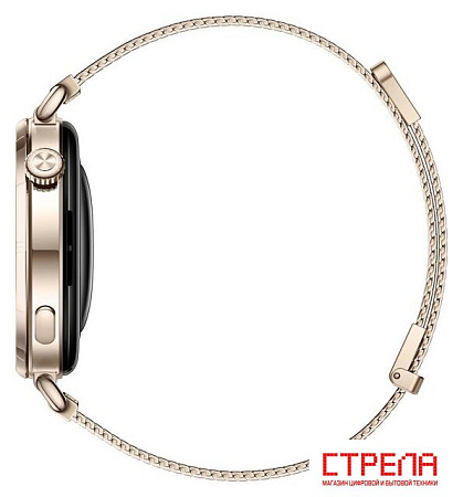 Умные часы Huawei Watch GT 6 41 мм (золотистый, с золотистым миланским браслетом, международная версия)