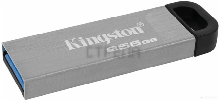USB Flash Kingston Kyson 256GB