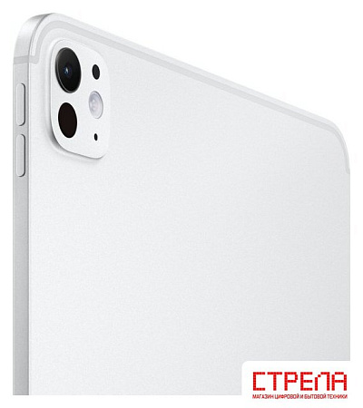 Планшет Apple iPad Pro 11" 2025 5G 1TB (серебристый)