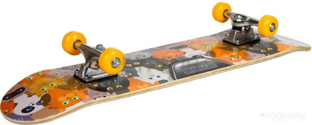Скейтборд ATEMI ASB31D01 31x8