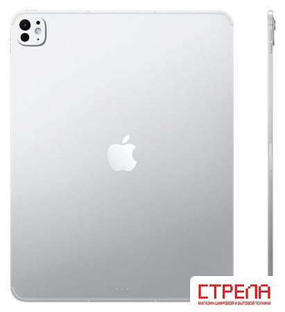 Планшет Apple iPad Pro 13" 2025 256GB (серебристый)