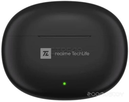 Наушники Realme T100 (черный)