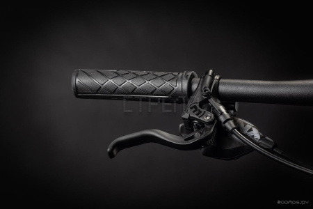 Велосипед Cube Reaction C:62 Rookie 29 S 2021