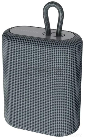 Беспроводная колонка Canyon CNE-CBTSP4DG