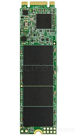 Жесткий диск Transcend MTS820S 240GB TS240GMTS820S