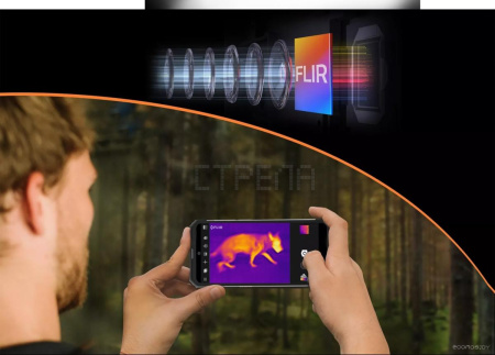 Смартфон Blackview BV8900 (черный)