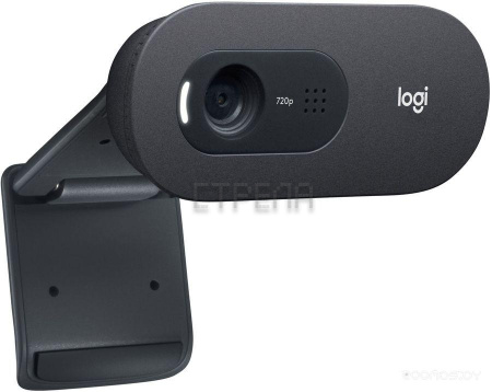 Веб-камера Logitech C505e