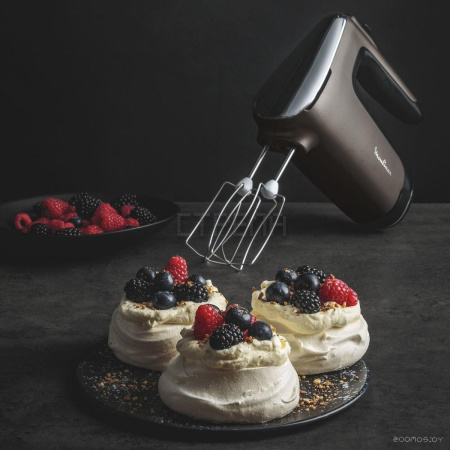 Миксер Moulinex HM650E10