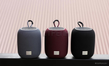 Беспроводная колонка Canyon BSP-8 (серый)