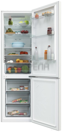 Холодильник Candy CCRN 6200W