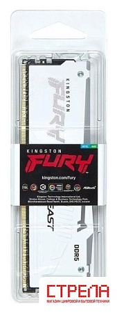 Оперативная память Kingston FURY Beast RGB 16ГБ DDR5 6000 МГц KF560C36BWE2A-16
