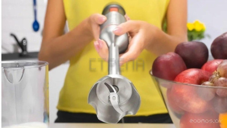 Погружной блендер Zelmer ZHB4650