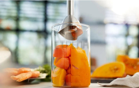 Погружной блендер Philips HR2545/00