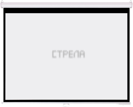 Проекционный экран PL Magna MWM-NTSC-84D