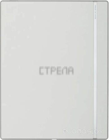 Электронная книга Onyx BOOX Go 10.3